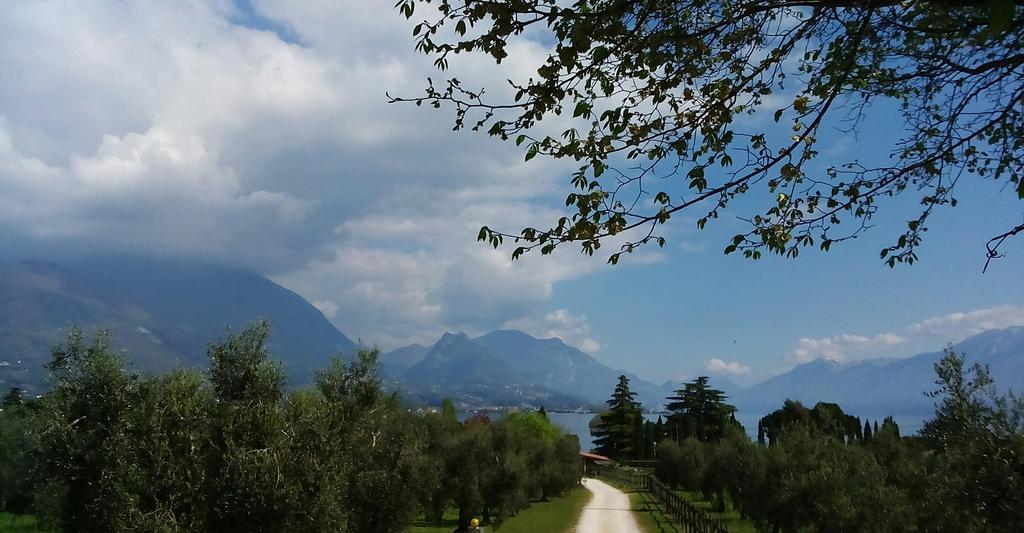 Agata Apartment San Felice del Benaco